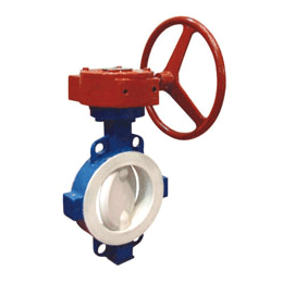 國标襯氟(fu)閥門（對夾(jia)）