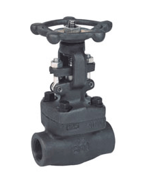 鍛鋼(gang)閘閥(fa)